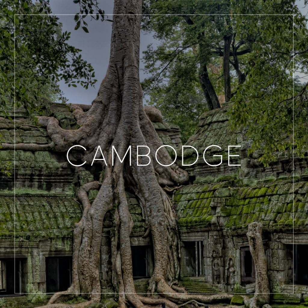 Voyages - Cambodge