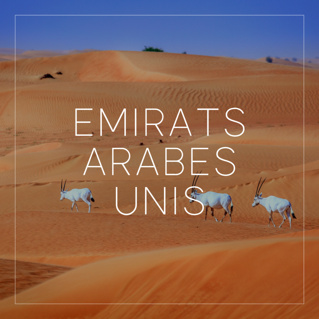 Voyages - Emirats Arabes Unis