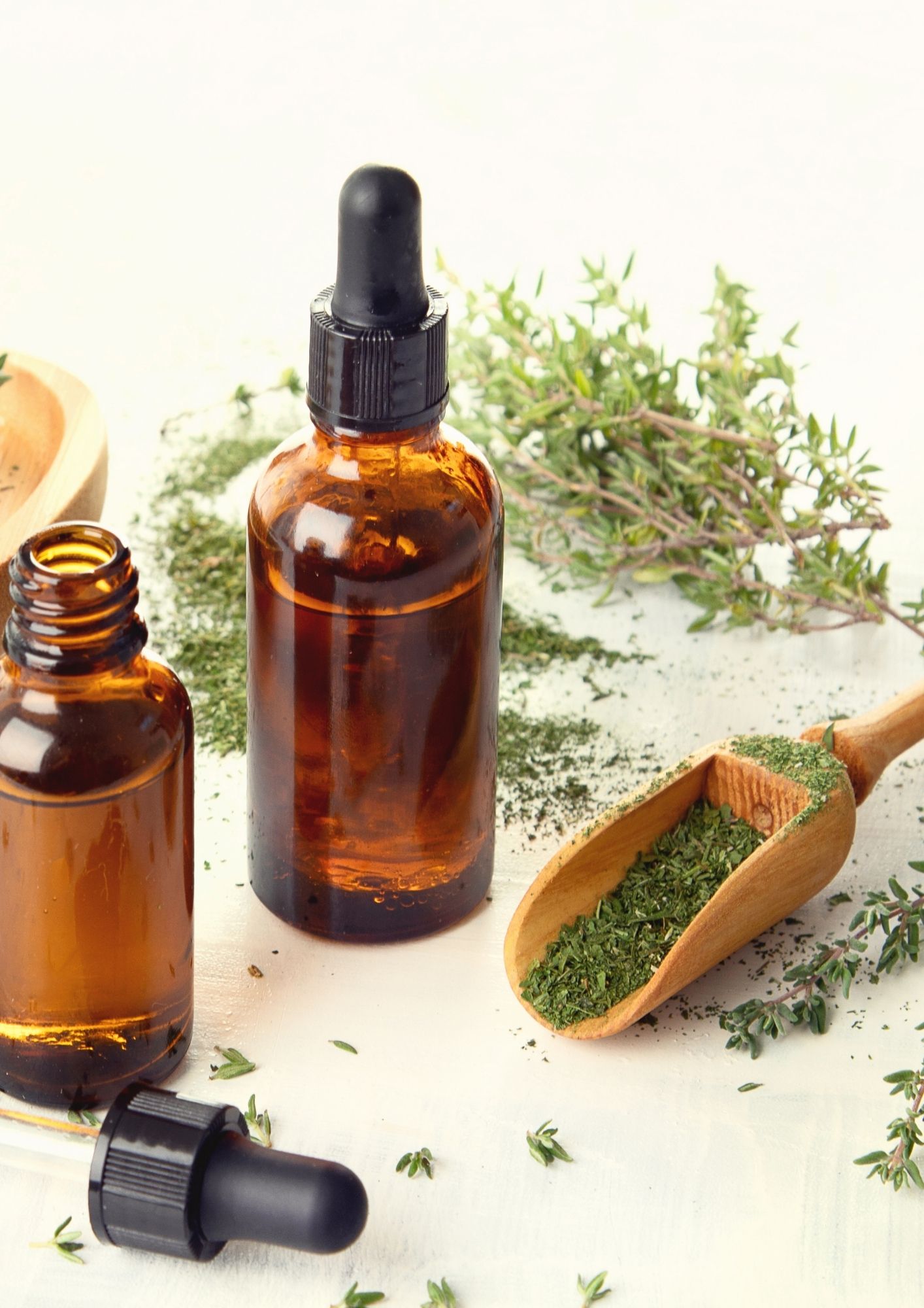 Thyme The Origins Earth Media